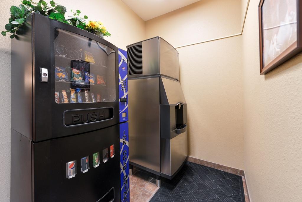 Country Hearth Inn & Suites Edwardsville Faciliteter billede