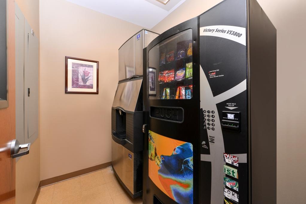 Country Hearth Inn & Suites Edwardsville Faciliteter billede